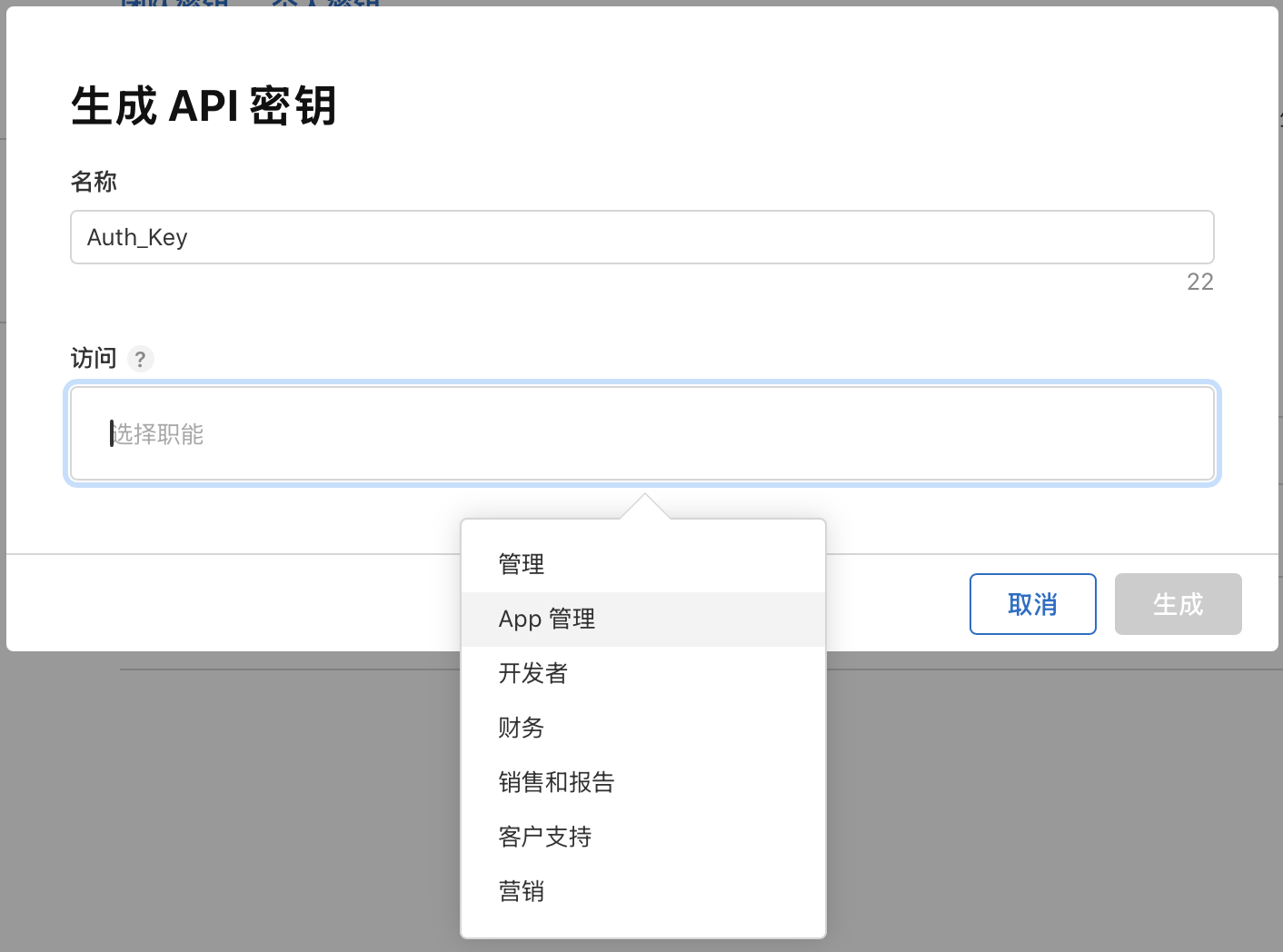 生成 API 密钥时填写名称并选择访问职能